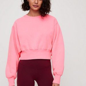 TNA Aritzia Cropped Crewneck Sweatshirt